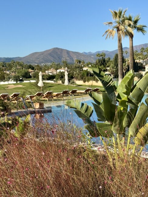 Unser Aufenthalt im La Zambra Hotel in Málaga  – Entspannung und Luxus im Grünen